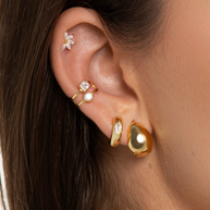 Neila Vermeil Earrings