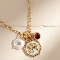January Birthstone Interchangeable Charm