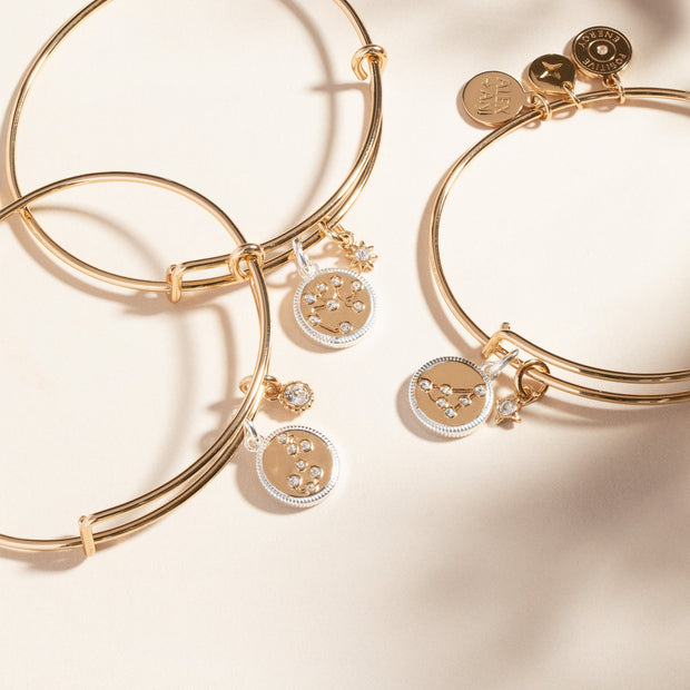 Capricorn Zodiac Charm Bangle