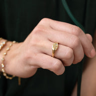 Pisces Zodiac Ring