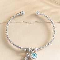 March Birthstone Interchangeable Charm