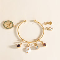 February Birthstone Interchangeable Charm