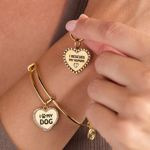 'I Love My Dog' Bangle & Pet Collar Charm Set of 2