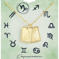 Zodiac Tag Necklace