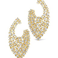 Priscilla CZ Statement Stud Earrings