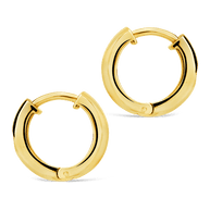 Rayne CZ Hoops