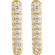 Francesca CZ Rectangular Hoop Earrings
