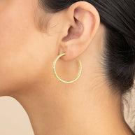 Daria Double Row Hoop Earrings