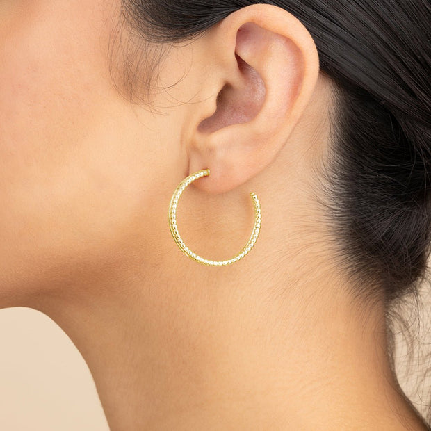 Daria Double Row Hoop Earrings