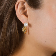 Chérie Pearl Shell Drop Stud Earrings