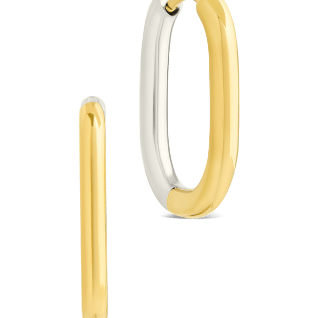 Dafne Dual Tone Oval Hoops