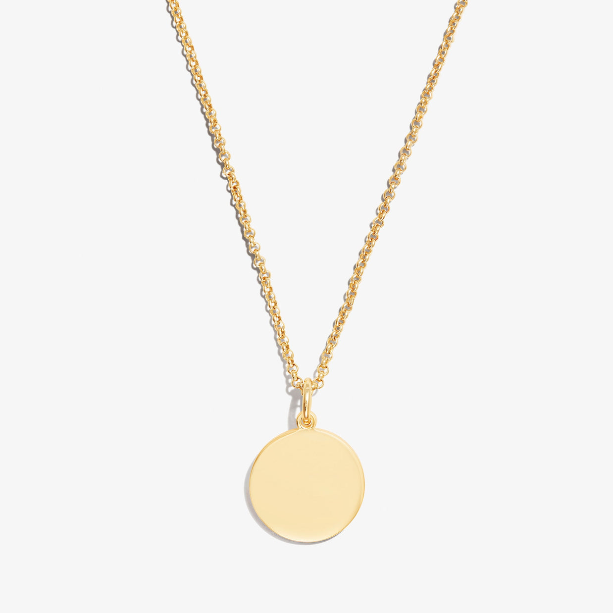Circle Charm Necklace, 21''