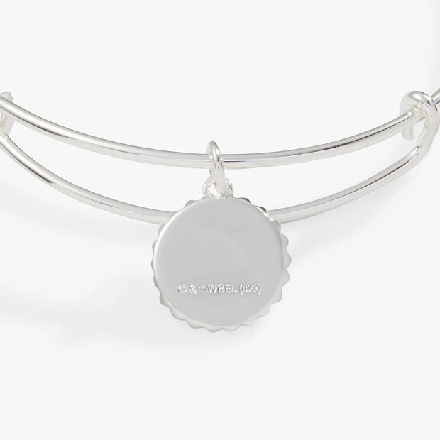 Harry Potter™ Slytherin House Charm Bangle