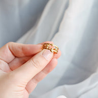 Solar System Ring