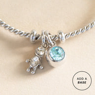 March Birthstone Interchangeable Charm