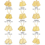 Zodiac Tag Necklace