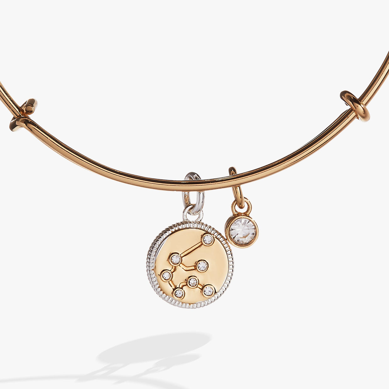 Aquarius Zodiac Charm Bangle