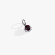 February Birthstone Interchangeable Charm