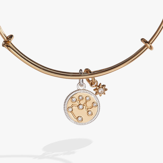 Sagittarius Zodiac Charm Bangle