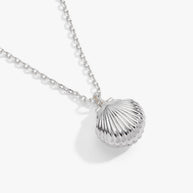 Salt + Sea 'Seashells Are Love Letters In The Sand' Seashell Locket Pendant