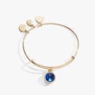 September Birthstone Charm Bangle, Sapphire